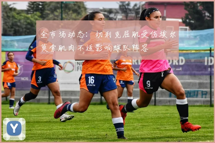 全市场动态：切利克屈肌受伤埃尔莫索肌肉不适影响球队阵容